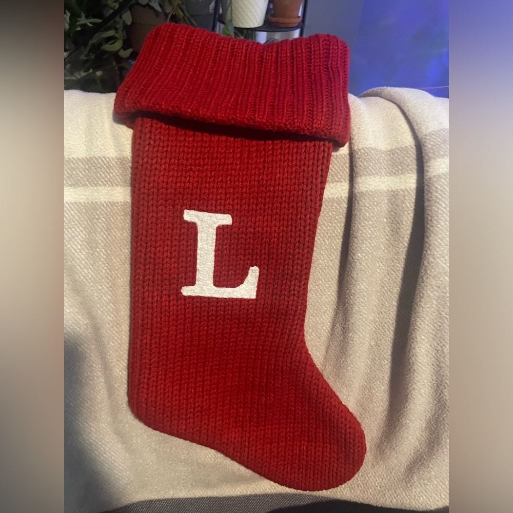 Wonderlust L stocking from Target
